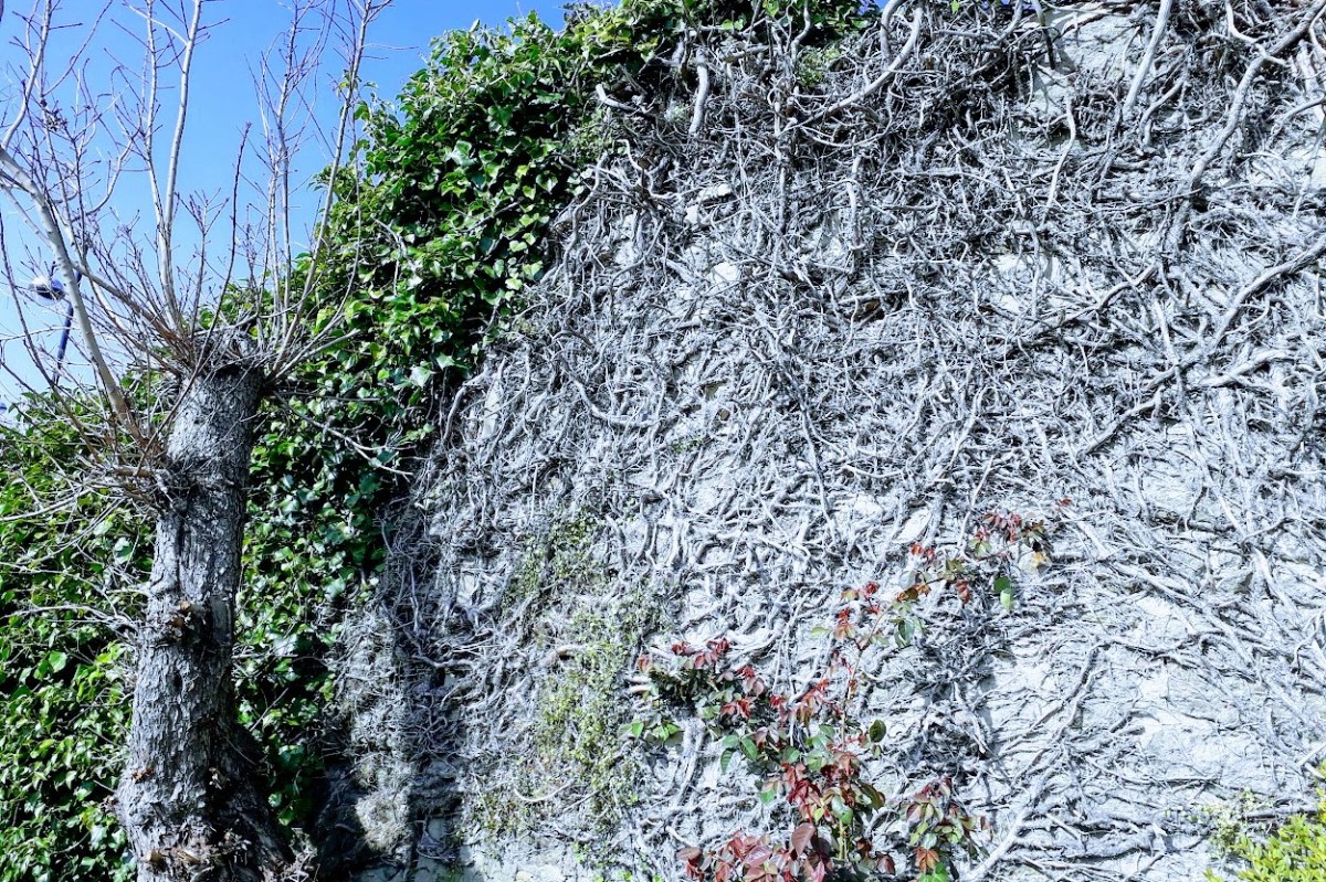 Walking Without Words